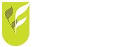 UFC_LOGO_WHITE